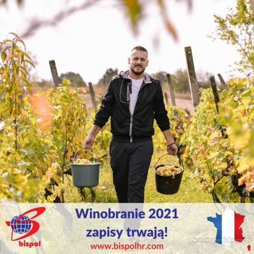 Francja - winobranie 2021 - zapisy