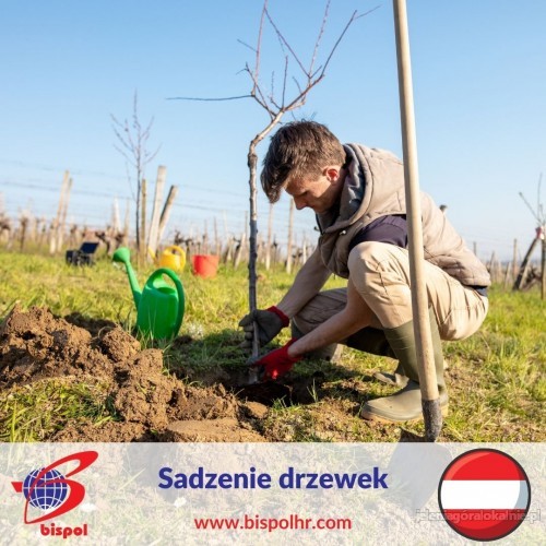 Praca przy sadzeniu drzewek - Austria