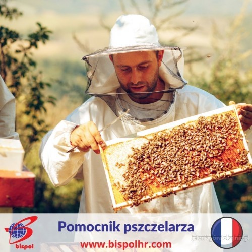 Pomocnik pszczelarza - Francja